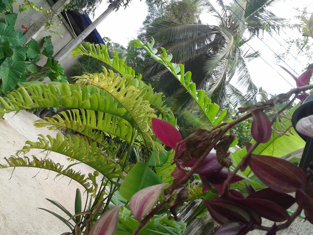 Nooit Gedacht Holiday Resort Unawatuna Exterior photo